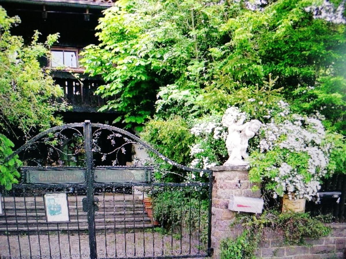 Eichenhof, Wohnung Rustika A Rieden Dış mekan fotoğraf